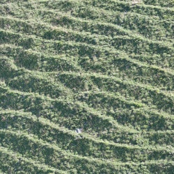 2019-08 Savoie/Aiguilles d'Arves/DSC_1439.JPG